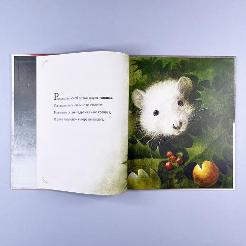 Рождественская ночь (книга с дефектом)