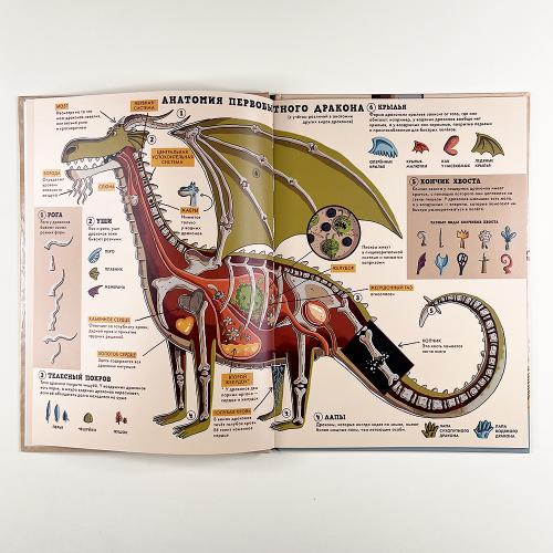 Энциклопедия волшебных существ. Драконы. Факты, слухи и легенды