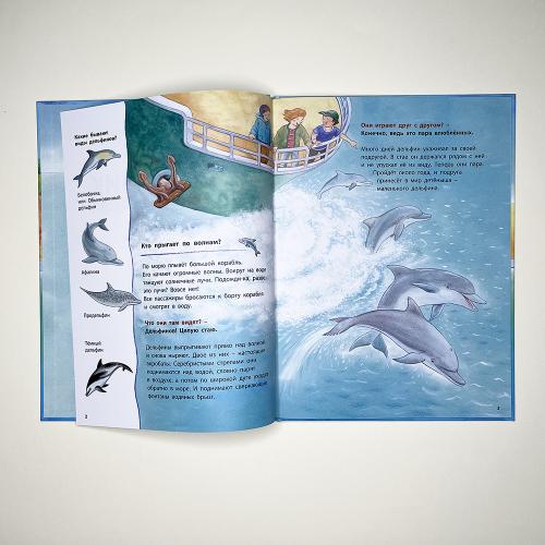 Дельфинчик и его морские соседи. Познавательные истории