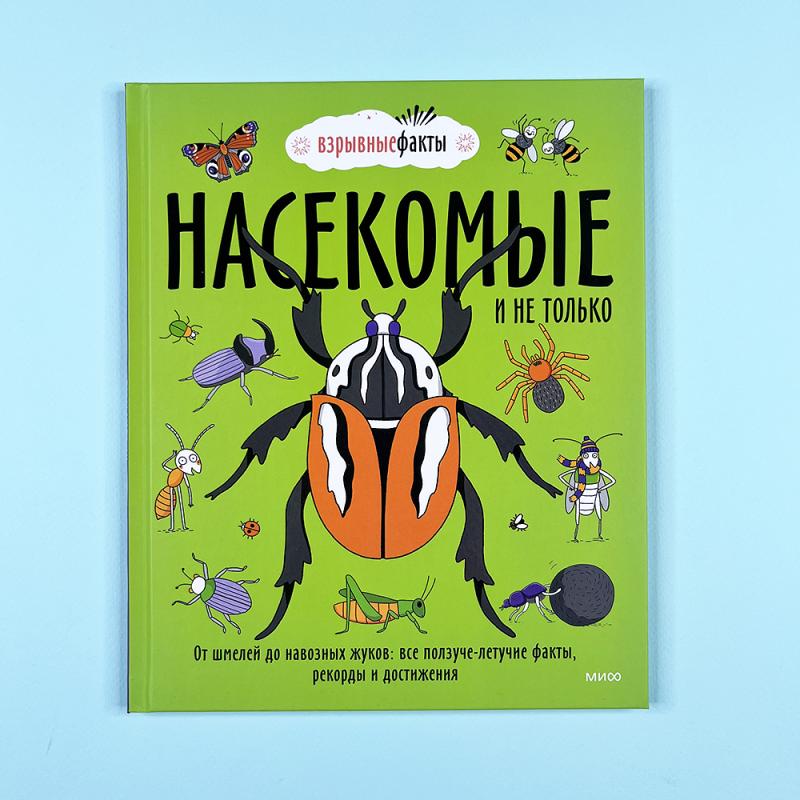 Насекомые и не только. От шмелей до навозных жуков: все ползуче-летучие факты, рекорды и достижения