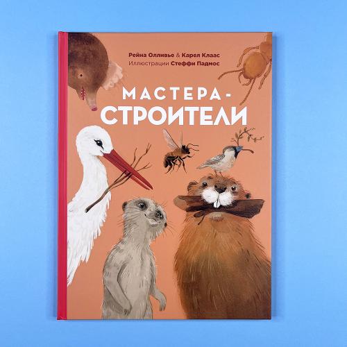 Мастера-строители (книга с...