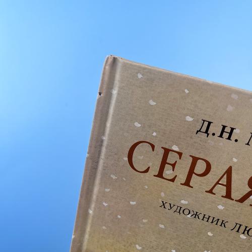 Серая Шейка (книга с дефектом)