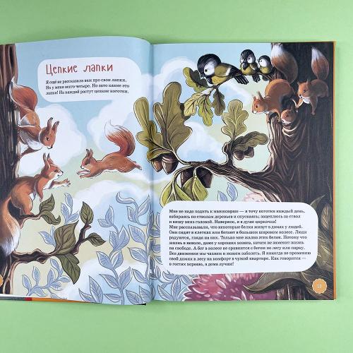 Самые ловкие животные