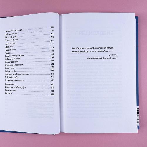 Сила спокойствия. Внутренняя тишина как путь к развитию и успеху