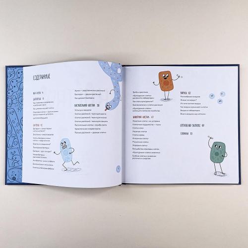 Клетки: из чего сделано всё живое