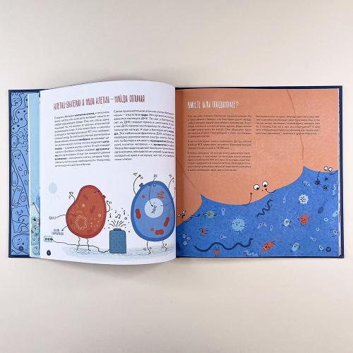 Клетки: из чего сделано всё живое