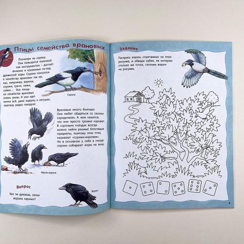 Как живут птицы? Книжка-активити с развивающими заданиями, головоломками, наклейками