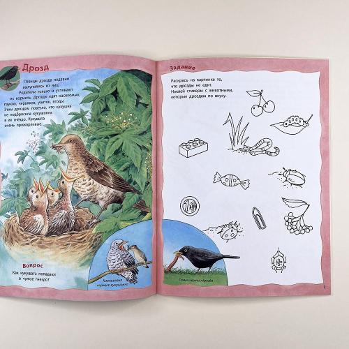 Как живут птицы? Книжка-активити с развивающими заданиями, головоломками, наклейками