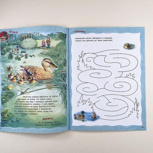 Как живут птицы? Книжка-активити с развивающими заданиями, головоломками, наклейками