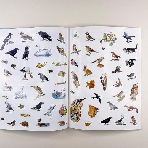 Как живут птицы? Книжка-активити с развивающими заданиями, головоломками, наклейками