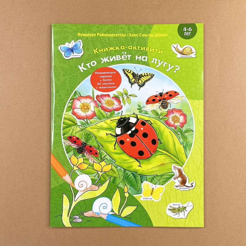 Кто живёт на лугу? Книжка-активити с развивающими заданиями, головоломками, наклейками