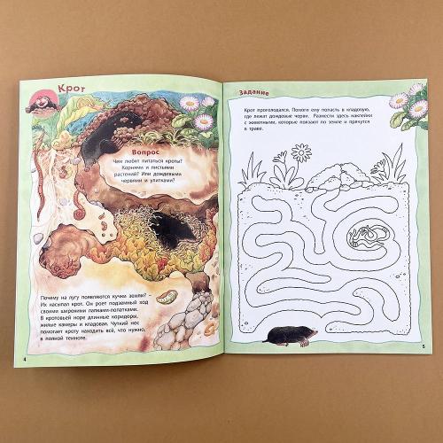 Кто живёт на лугу? Книжка-активити с развивающими заданиями, головоломками, наклейками