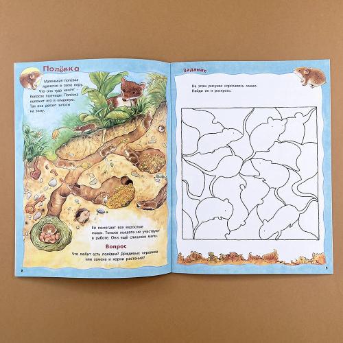 Кто живёт на лугу? Книжка-активити с развивающими заданиями, головоломками, наклейками