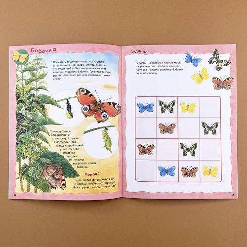 Кто живёт на лугу? Книжка-активити с развивающими заданиями, головоломками, наклейками