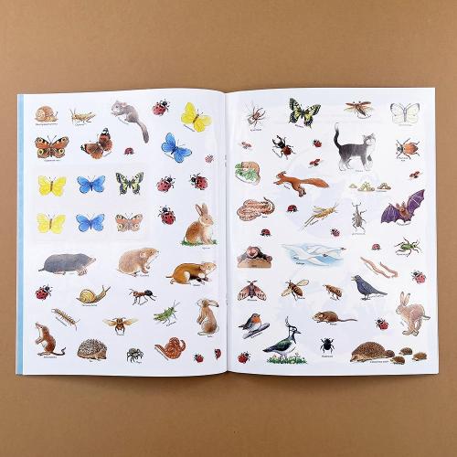 Кто живёт на лугу? Книжка-активити с развивающими заданиями, головоломками, наклейками