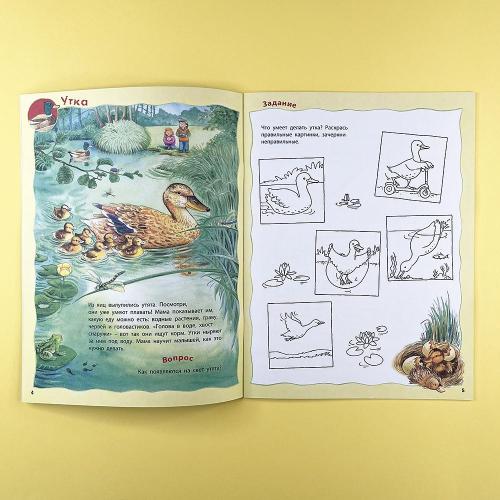 Кто живёт в реке? Книжка-активити с развивающими заданиями, головоломками, наклейками