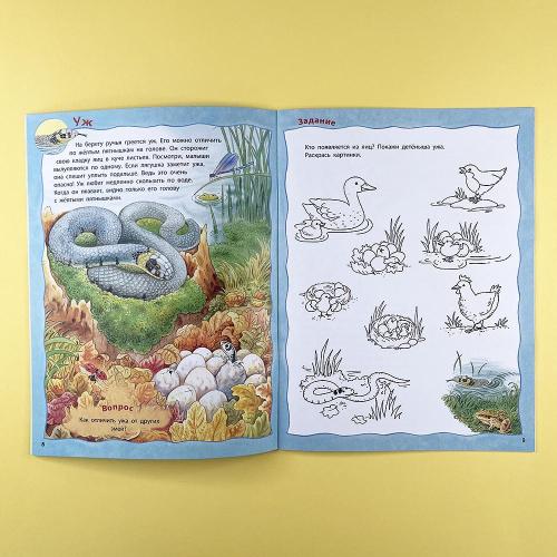 Кто живёт в реке? Книжка-активити с развивающими заданиями, головоломками, наклейками
