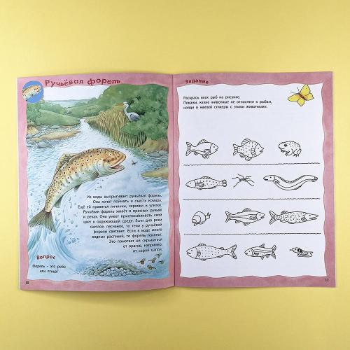 Кто живёт в реке? Книжка-активити с развивающими заданиями, головоломками, наклейками