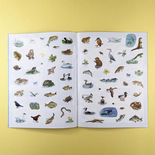 Кто живёт в реке? Книжка-активити с развивающими заданиями, головоломками, наклейками