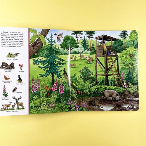Большая книга. В лесу