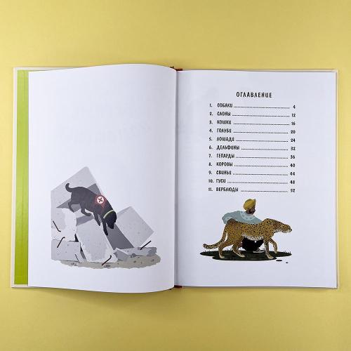 Верные помощники