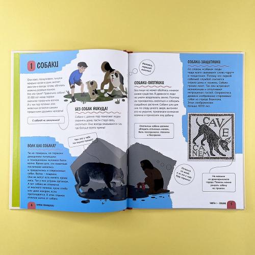 Верные помощники