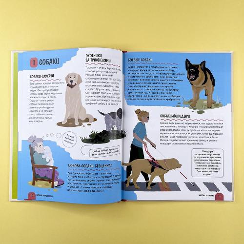 Верные помощники