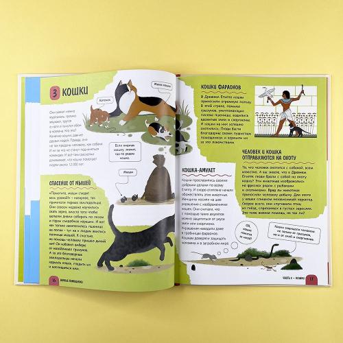 Верные помощники