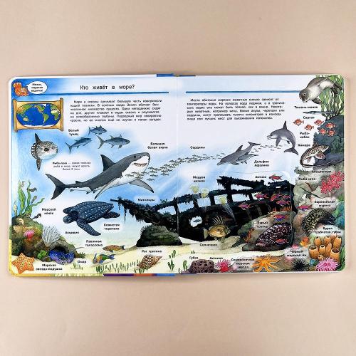 Что? Почему? Зачем? Мир морских животных