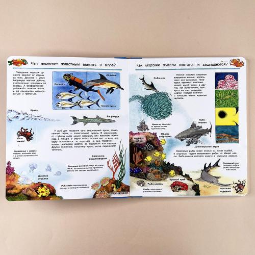 Что? Почему? Зачем? Мир морских животных