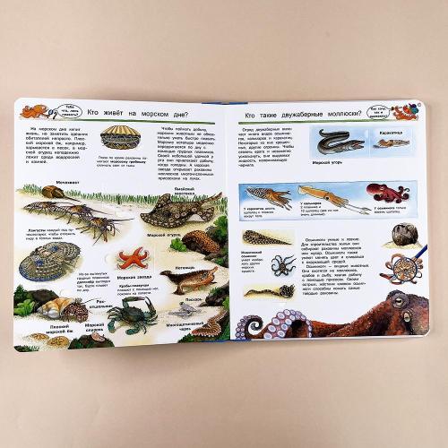 Что? Почему? Зачем? Мир морских животных