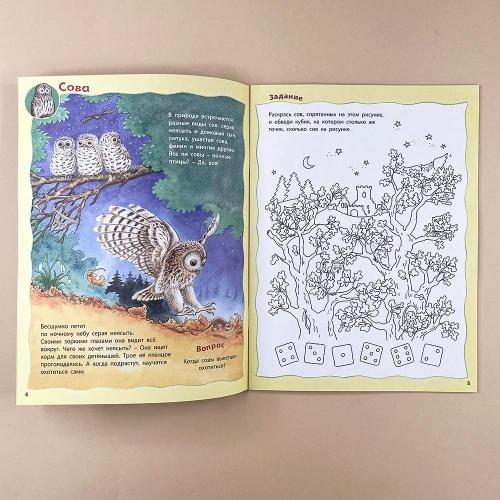 Кто живёт в лесу? Книжка-активити с развивающими заданиями, головоломками, наклейками