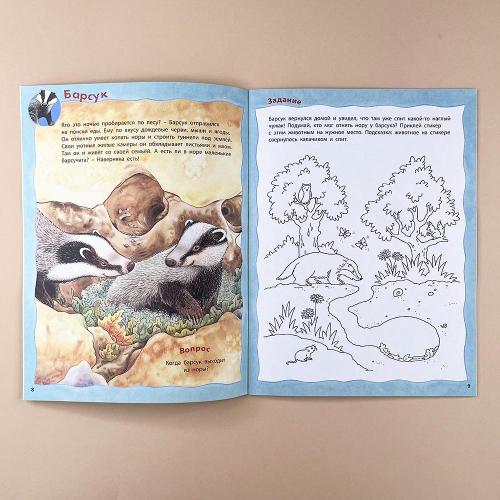 Кто живёт в лесу? Книжка-активити с развивающими заданиями, головоломками, наклейками