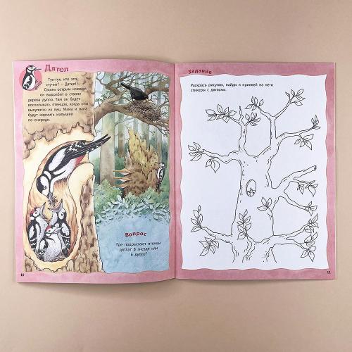 Кто живёт в лесу? Книжка-активити с развивающими заданиями, головоломками, наклейками