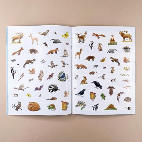 Кто живёт в лесу? Книжка-активити с развивающими заданиями, головоломками, наклейками