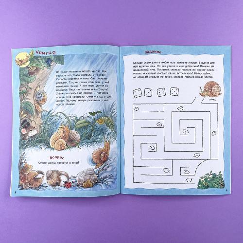 Кто живёт на опушке? Книжка-активити с развивающими заданиями, головоломками, наклейками