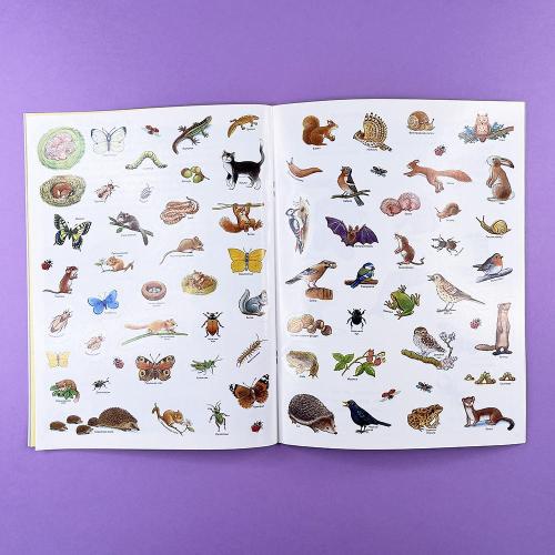 Кто живёт на опушке? Книжка-активити с развивающими заданиями, головоломками, наклейками