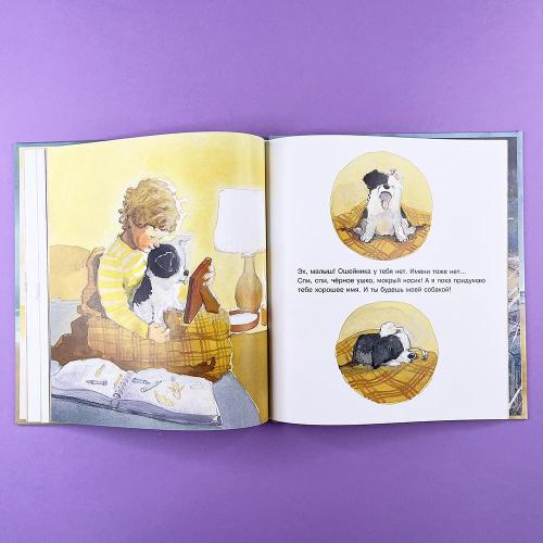 Ничья собака: две истории о неразлучных друзьях