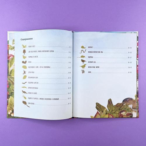 Секреты осеннего леса