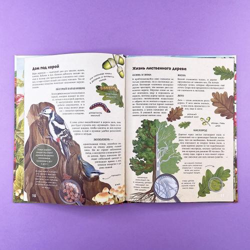 Секреты осеннего леса