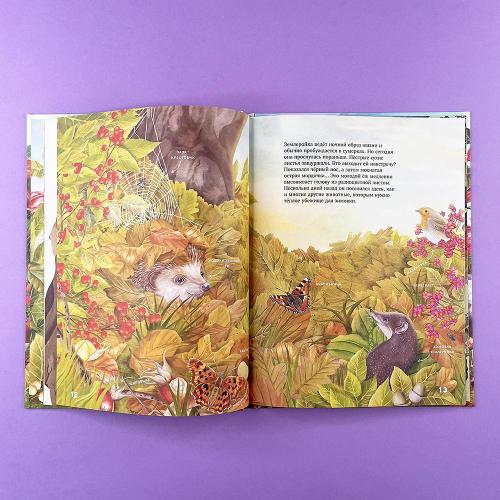 Секреты осеннего леса