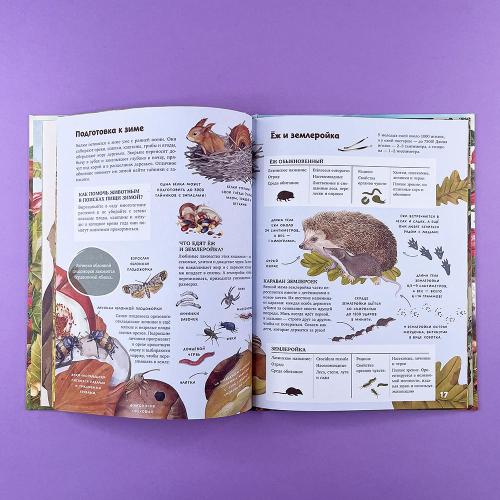 Секреты осеннего леса