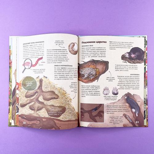 Секреты осеннего леса