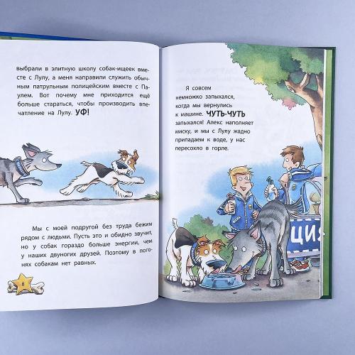 Комиссар Лапа. Тайна огородных призраков