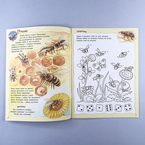 Как живут насекомые? Книжка-активити с развивающими заданиями, головоломками, наклейками