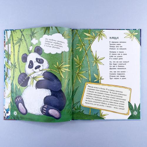 Расскажу вам о себе