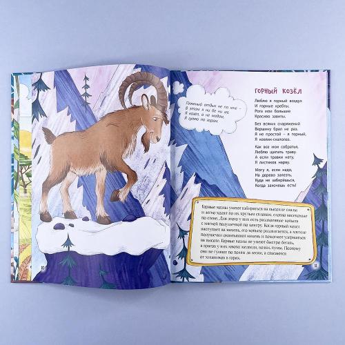 Расскажу вам о себе