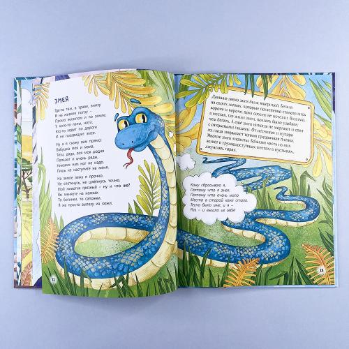 Расскажу вам о себе