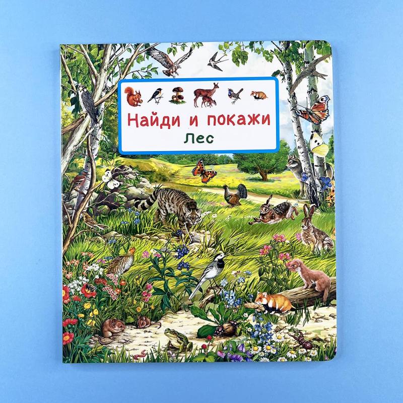 Найди и покажи. Лес