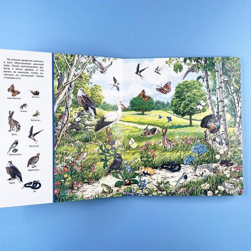 Найди и покажи. Лес